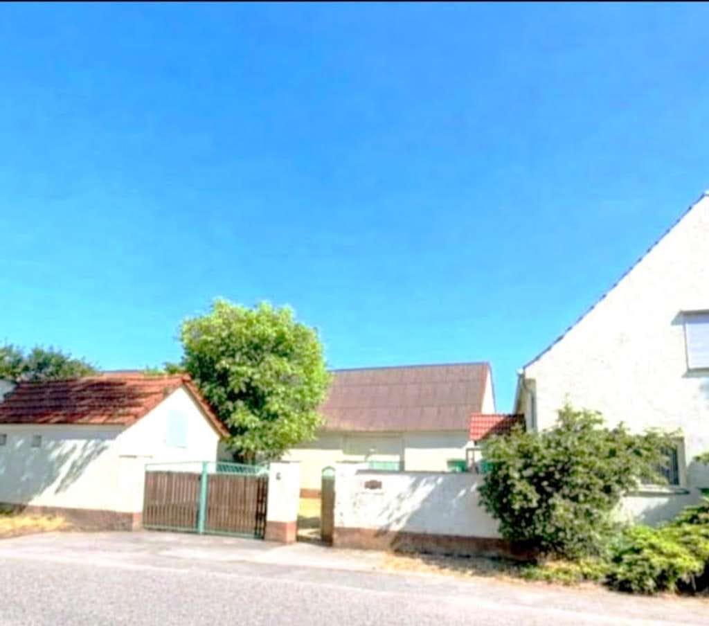 Immobilie in Uebigau-Wahrenbrück - Kleiner Bauernhof in Südbrandenburg - Bild 1