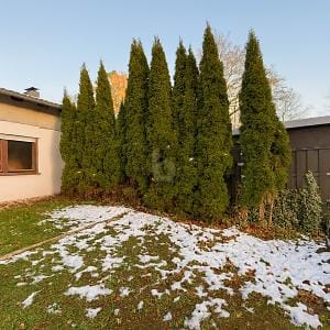 Immobilie in Möhnesee - MÖHNESEE| ENTKERNTES HAUS MIT SEE-NÄHE  - Bild 1