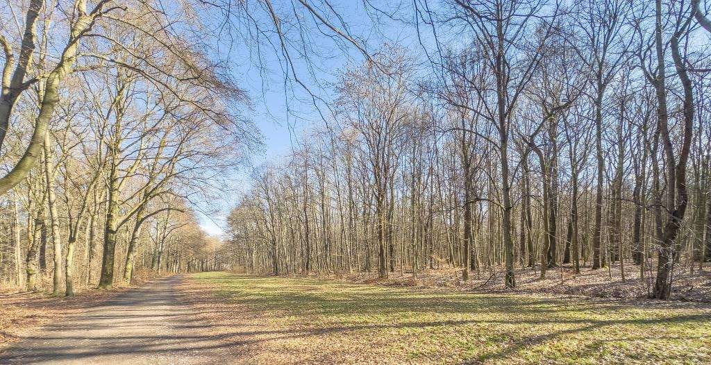 Immobilie in Chemnitz - CA. 7,6 % RENDITE - GUT VERMIETETES EINFAMILIENHAUS DIREKT AM WALD - Bild 3