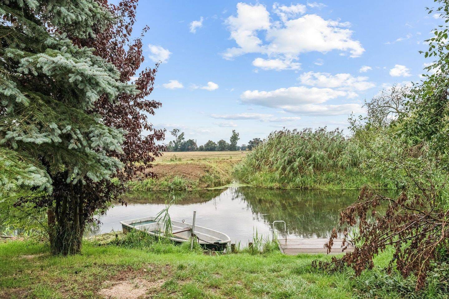 Immobilie in Neutrebbin - Neuwertiges und großzügiges Wohnen mit Naturgenuss an der Alten Oder - Bild 2