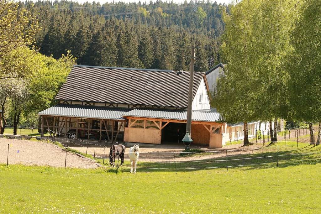 Immobilie in Marktleugast - Idyllisches Anwesen für Pferde-/ Tierhaltung in Alleinlage auf 2,7 ha zu verkaufen - Bild 4