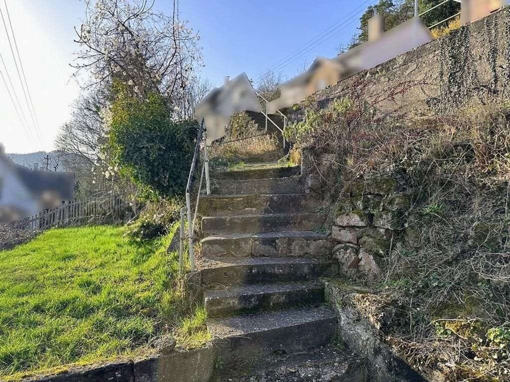 Immobilie in Lambrecht - Kleines Häuschen auf großem sonnigen Hanggrundstück mit Süd- 
ausrichtung und Fernblick - Bild 2