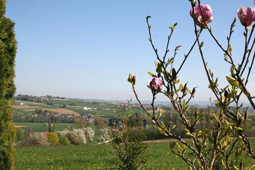 Immobilie in Fürstenzell - von privat: großzügig und stilvoll Wohnen im Grünen - Bild 0