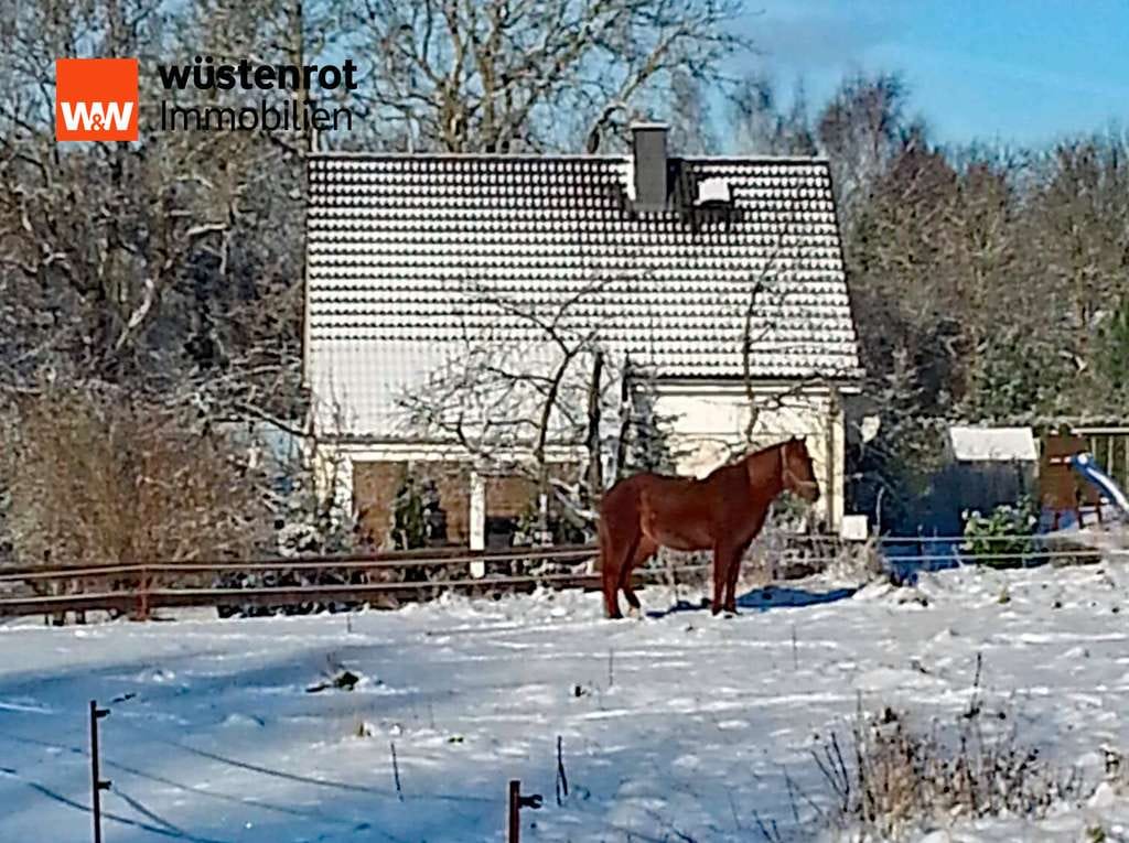 Immobilie in Burg Stargard - OASE IM GRÜNEN: WINTERGARTEN + PHOTOTOVOLTAIKANLAGE + EINBAUKÜCHE + KAMINOFEN + MASSIVES GARTENHAUS - Bild 4