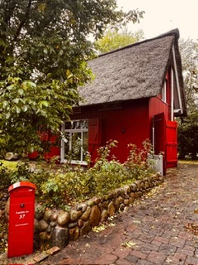 Immobilie in Neufeld - Charmantes Ferienhaus mit Reetdach, möbliert, energetisch top, 3,5 Zimmern und Außenstellplätzen  - Bild 3