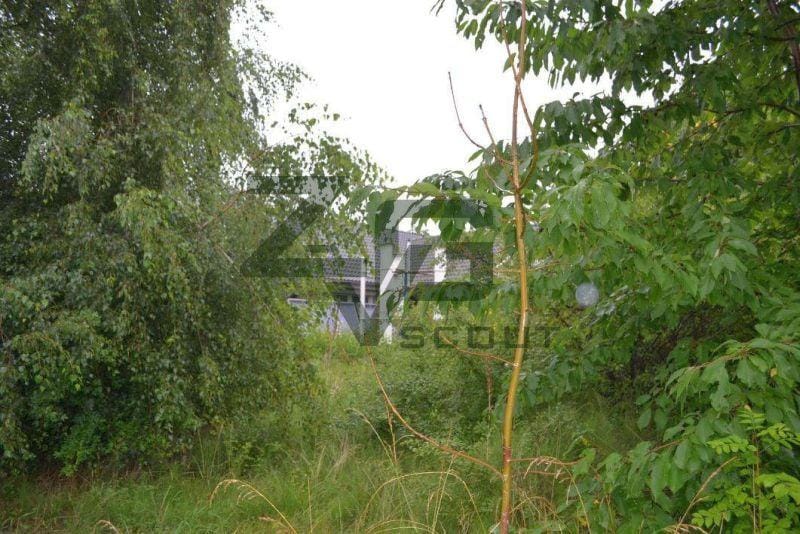 Immobilie in Dersau - Einfamilienhaus (Bungalow) in ruhiger Wohnlage mit attraktivem landschaftlichen Lagewert - Bild 1