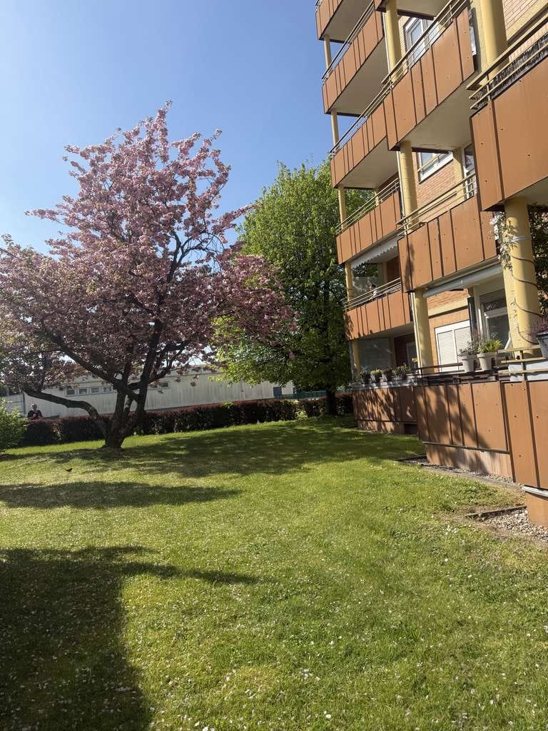 Immobilie in Bensheim - Bensheim, freundliche, stufenlose 3 ZKB-Eigentumswohnung mit Balkon - Bild 4