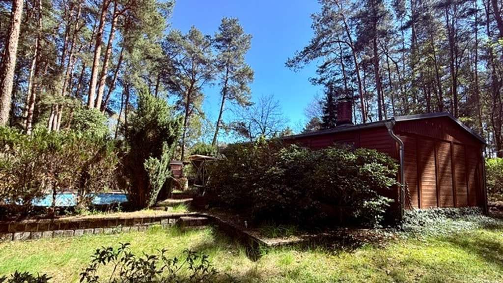 Immobilie in Rabenstein/Fläming - **Ruhe und Entspannung abseits des Großstadtlärms**Ferienhaus im Kiefernwald** - Bild 2