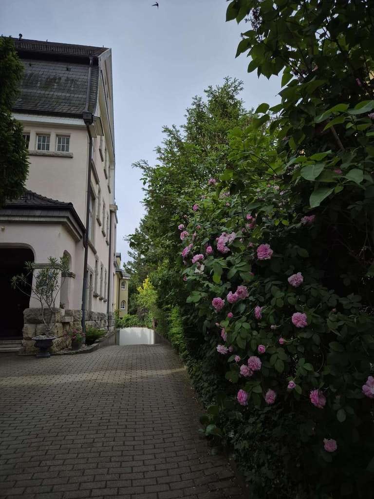 Immobilie in Arnstadt - Kapitalanlage mit Charme – Helle 3-Zimmer-Eigentumswohnung mit Balkon, Garage und Keller in Arnstadt - Bild 3