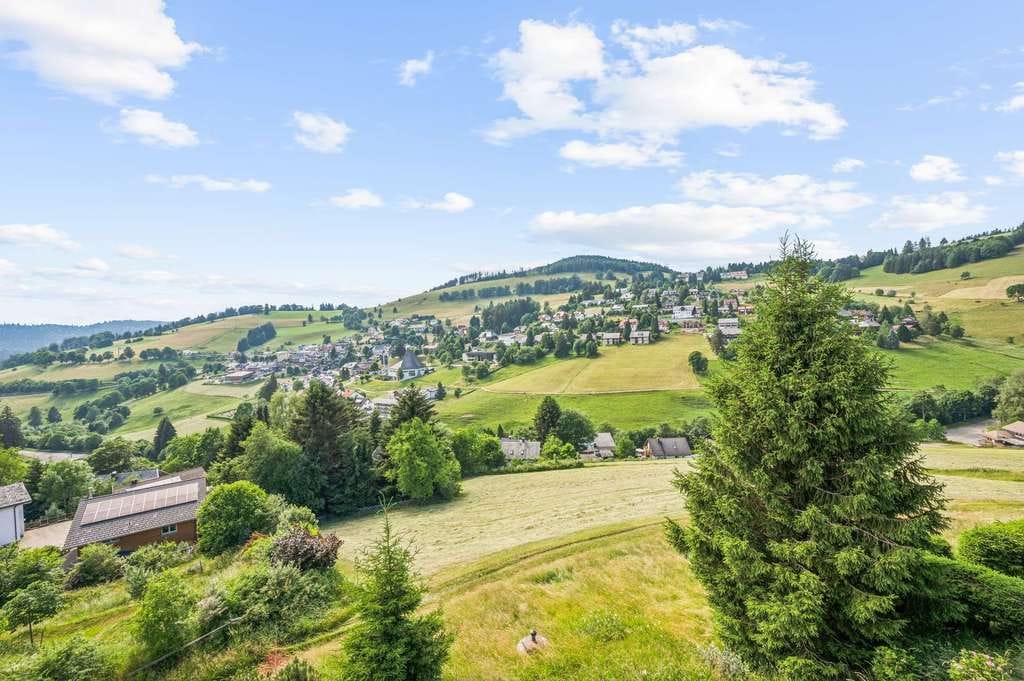 Immobilie in Todtnau - Urige Schwarzwald-Oase mit Ausblick und Kamin. - Bild 0