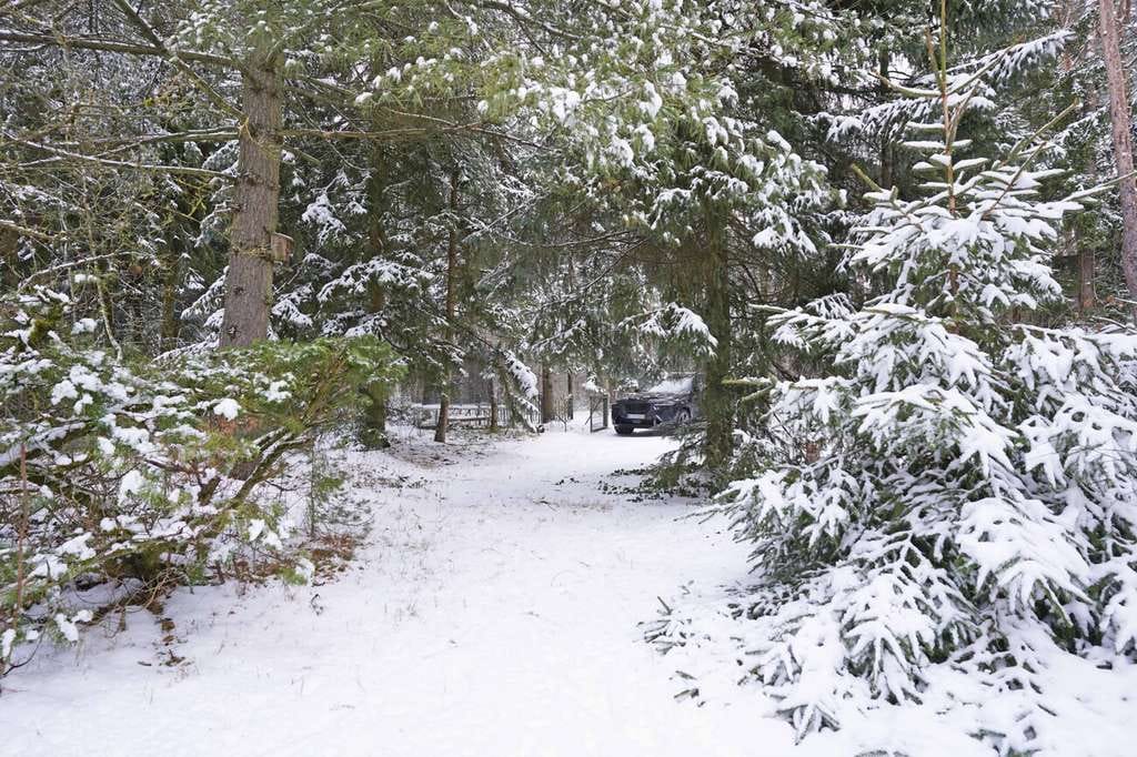 Immobilie in Lindwedel - Wochenendhaus mit Seele - Natur, Ruhe und echter Lebensqualität! - Bild 2