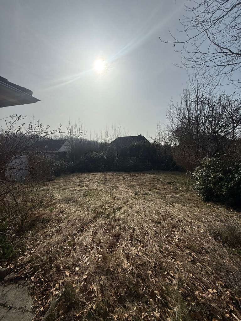 Immobilie in Ilsede - Bungalow mit großem Grundstück in guter Lage von Groß Ilsede - Bild 1