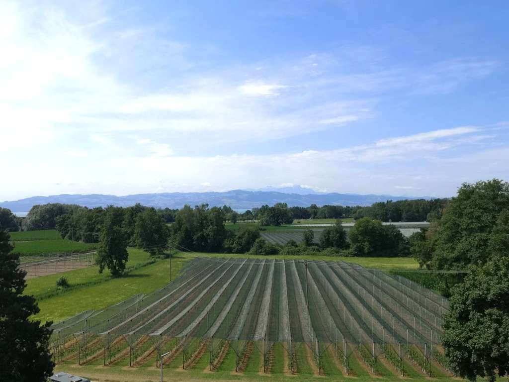 Immobilie in Kressbronn am Bodensee - Für Handwerker: Renov.bed., leerstehende 4,5-Zi.-Whg. (5.OG, Aufzug) mit Garage und toller Sicht - Bild 0