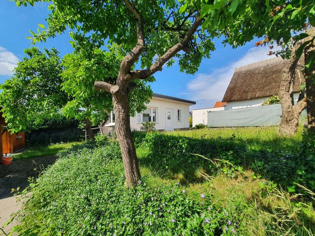 Immobilie in Ückeritz - Grundstück mit Ferienbungalow im Seebad Ückeritz - Bild 3