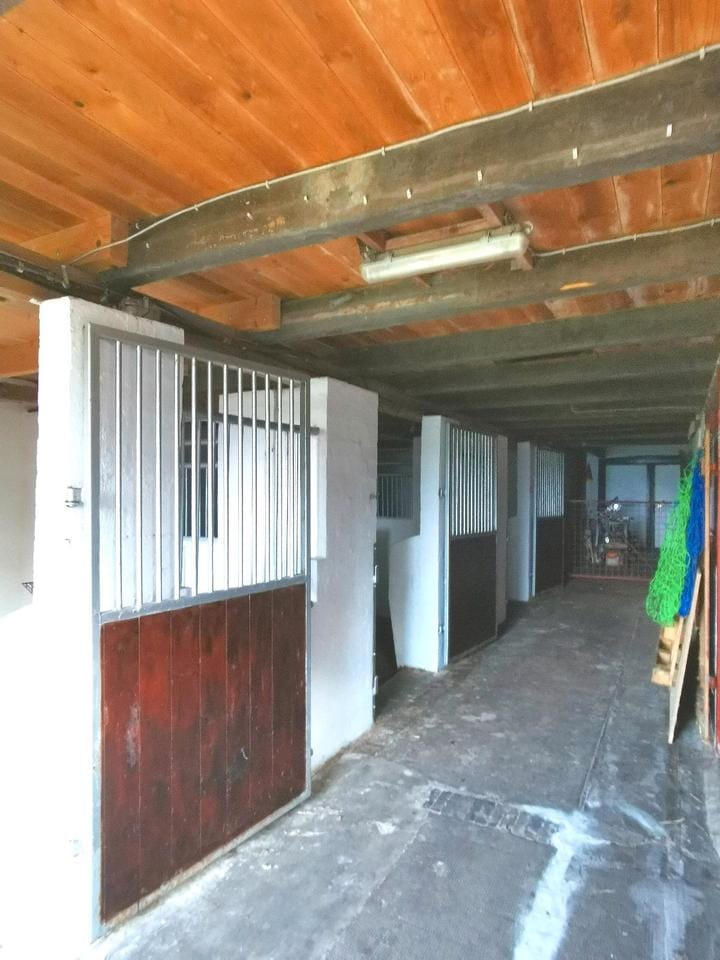 Immobilie in Groven - Resthof ohne Makler Pferdeboxen Weide Bauernhaus - Bild 0