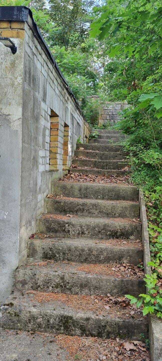 Immobilie in Bad Schmiedeberg - Wochendgrundstück in der Dübener Heide zu verkaufen - Bild 4