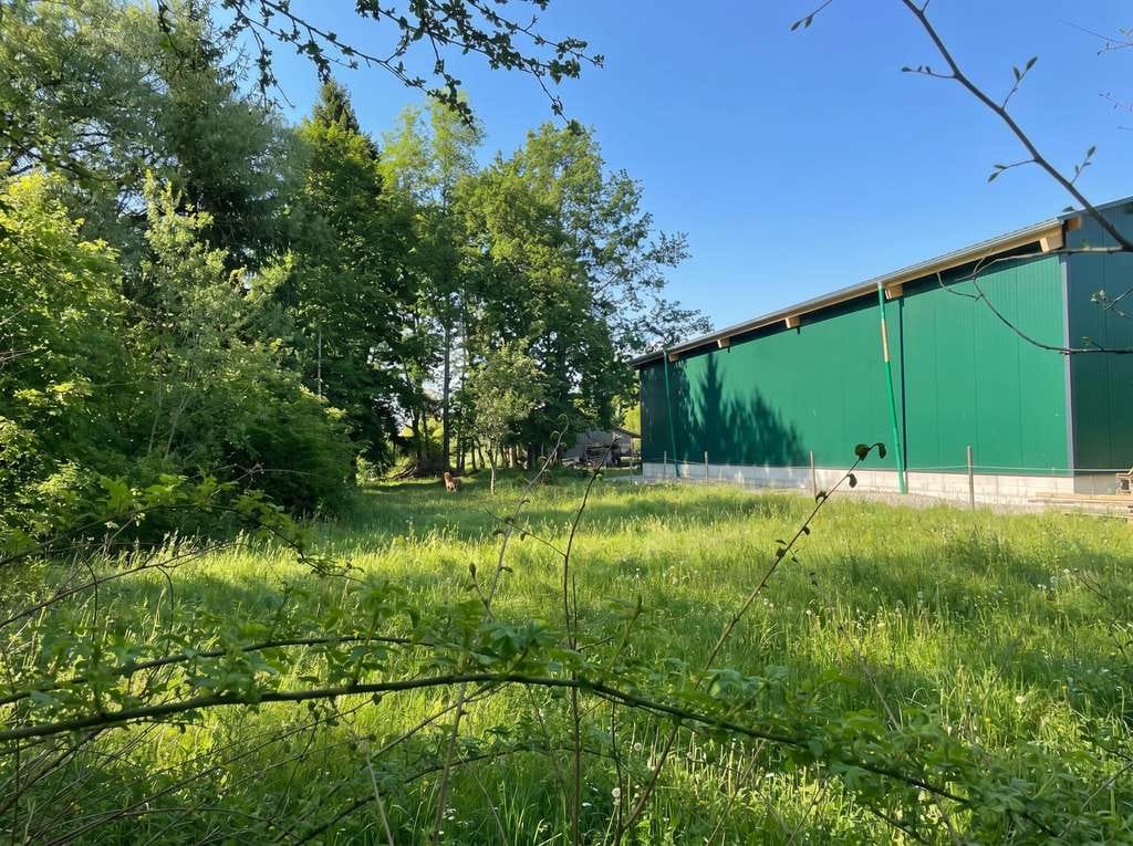 Immobilie in Kirchroth - Gemütliches Einfamilienhaus mit weitläufigem Gartengrundstück - Bild 4