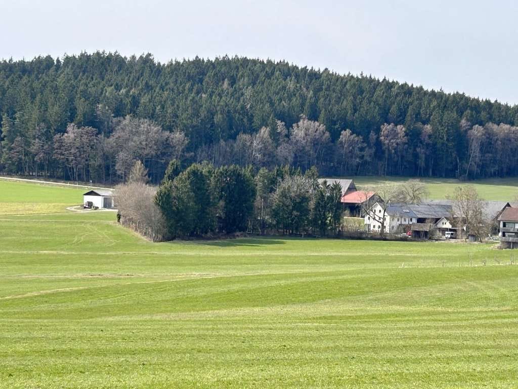 Immobilie in Rötz - Refugium in Alleinlage – Verwunschenes Einfamilienhaus mit großem Naturgrundstück und viel Potenzial - Bild 2