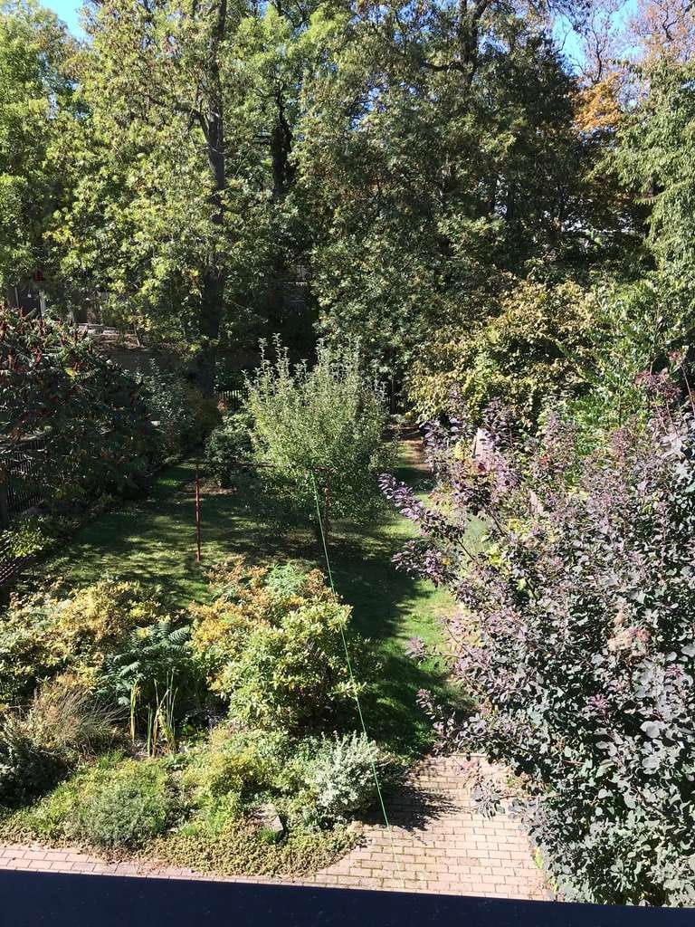 Immobilie in Werdau - Ein-/Zweifamilienhaus in mitten der Stadt mit großem Garten und ruhig - Bild 4