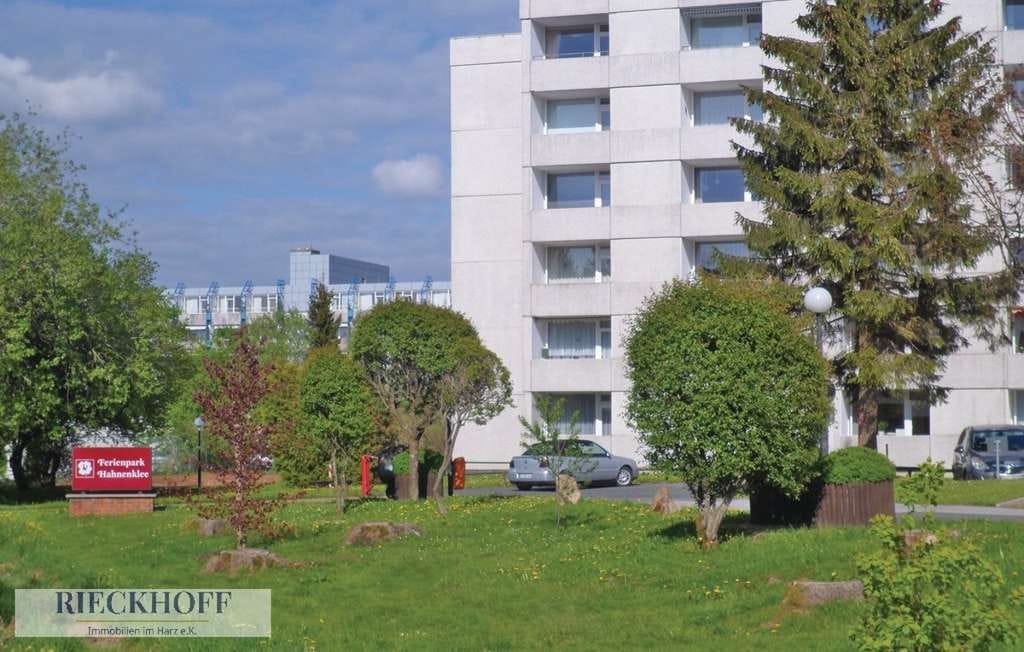 Immobilie in Goslar - Ferienwohnung im Ferienpark Hahnenkleer Berg in Hahnenklee - Bild 4