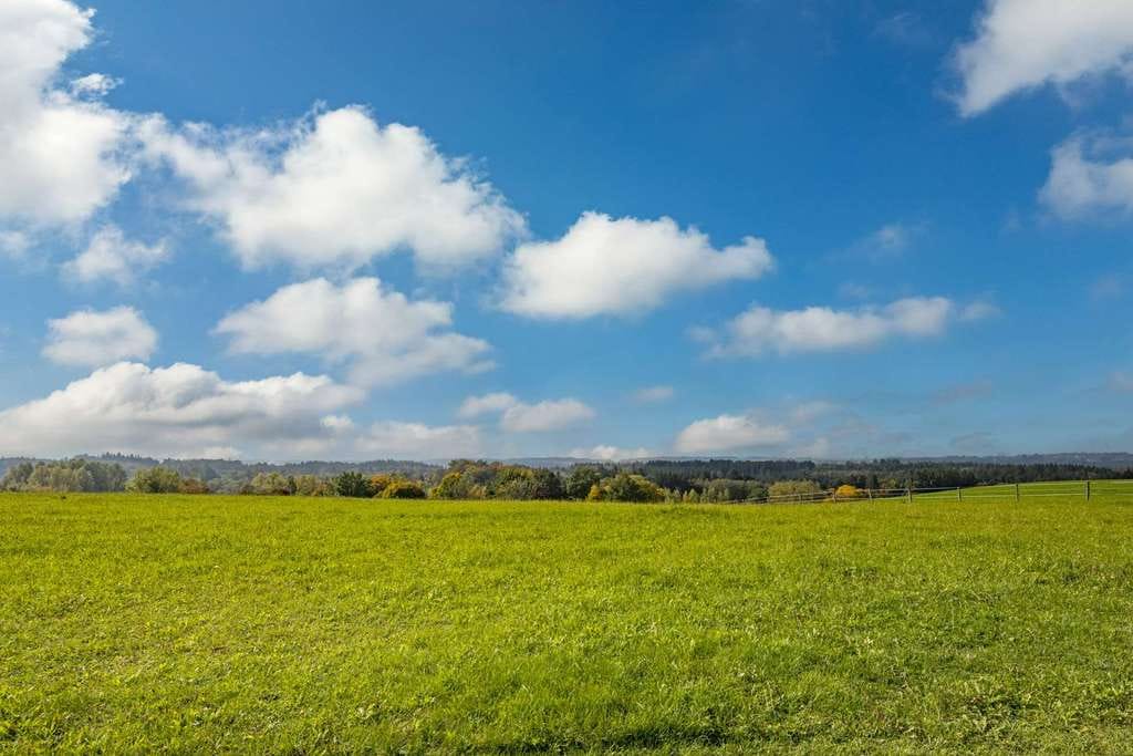 Immobilie in Egling - Licht. Landschaft. Loslassen. - Bild 4