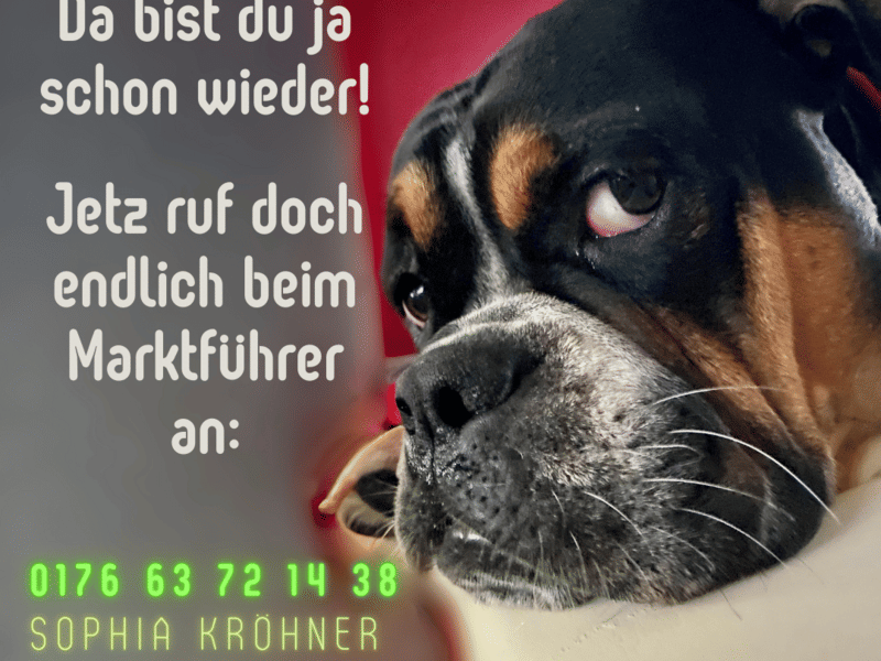 Immobilie in Reinsberg - 113 qm pure Wohlfühlfläche – Haus mit offenem Wohnkonzept im Erdgeschoss - Bild 0