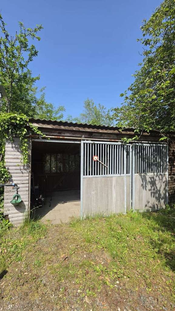 Immobilie in Wingst - Familienhaus mit 5 Zimmern, Ausbaupotenzial und zwei Pferdekoppeln in der Wingst - Bild 3