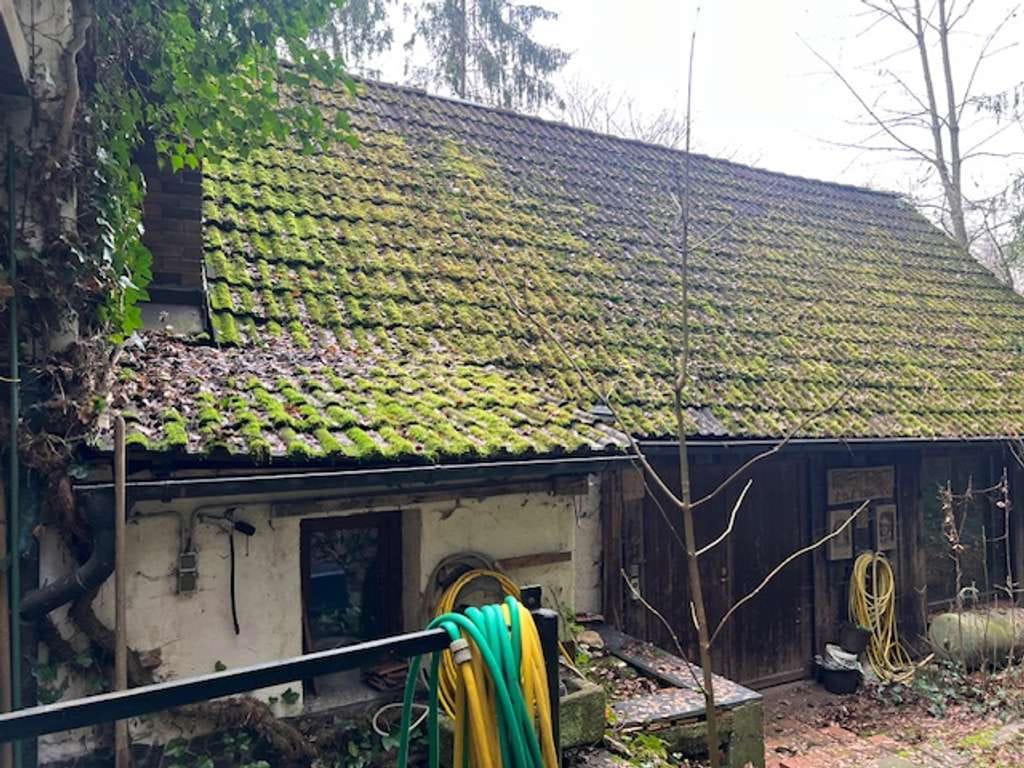 Immobilie in Auerbach - Idyllisches Anwesen (Baujahr 1690) auf ca. 32.000 m² großem Grundstück in absoluter Alleinlage - Bild 4