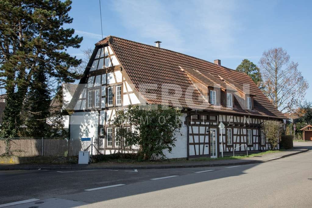 Immobilie in Meißenheim - Charmantes großzügiges Riedhaus mit Flair und großem Garten in Meißenheim - Bild 4