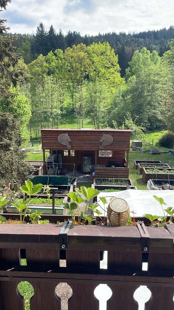 Immobilie in Mossautal - Autarkes Refugium für Selbstversorger & Prepper – Einzigartiges Anwesen mit 7.500 m² Naturgrundstück - Bild 3
