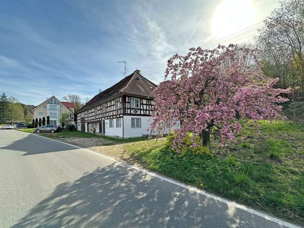 Immobilie in Bermatingen - Traum am Bodensee zur Selbstverwirklichung - Bild 0