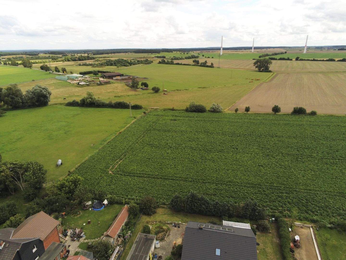 Immobilie in Velpke - Großes Einfamilienhaus in schöner Lage - Bild 2