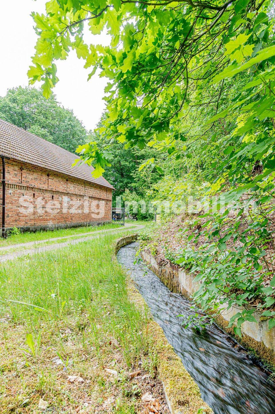 Immobilie in Spremberg - Parkanwesen am Mühlengrund - Bild 4