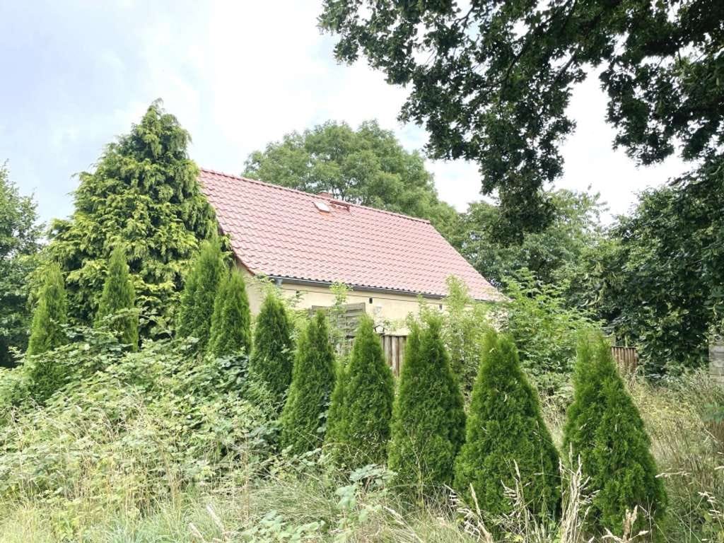 Immobilie in Bartow - ZWANGSVERSTEIGERUNG - Zügig verfügbar! Haus mit Garten in Bartow - Bild 4