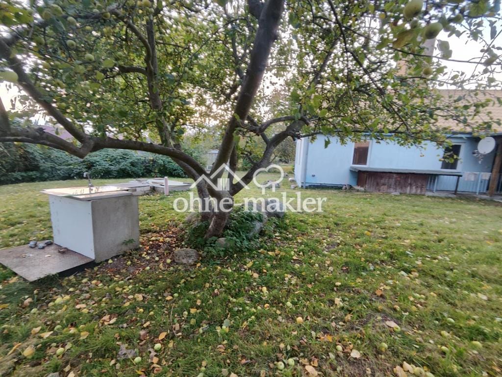Immobilie in Putbus - Mehrfamilienhaus in Putbus - Bild 3
