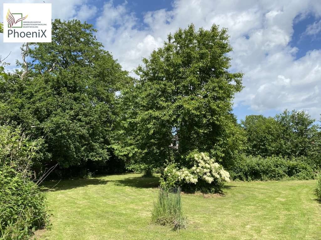 Immobilie in Drage - Wohnen im schönen Nordfriesland
-exklusives Anwesen- provisionsfrei für den Käufer - Bild 3