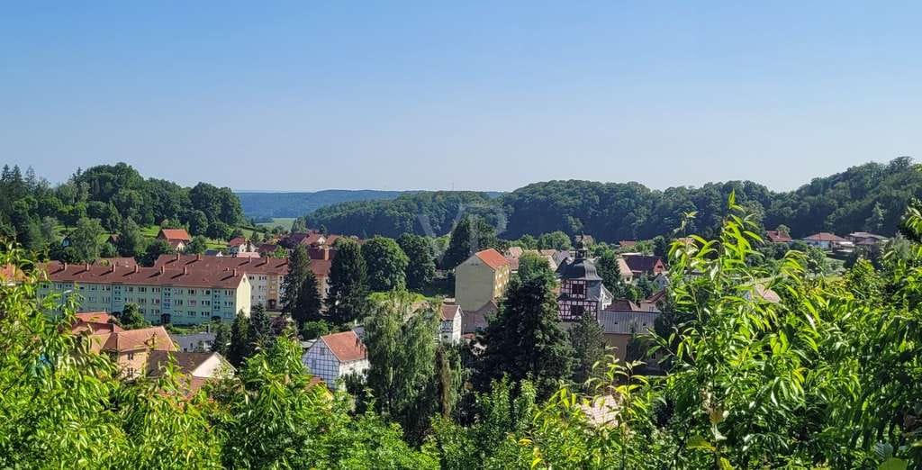 Immobilie in Ellrich - Eigentumswohnung (66 m² WF) mit harmonischem Wohnambiente in landschaftlich natürlicher Umgebung - i - Bild 1