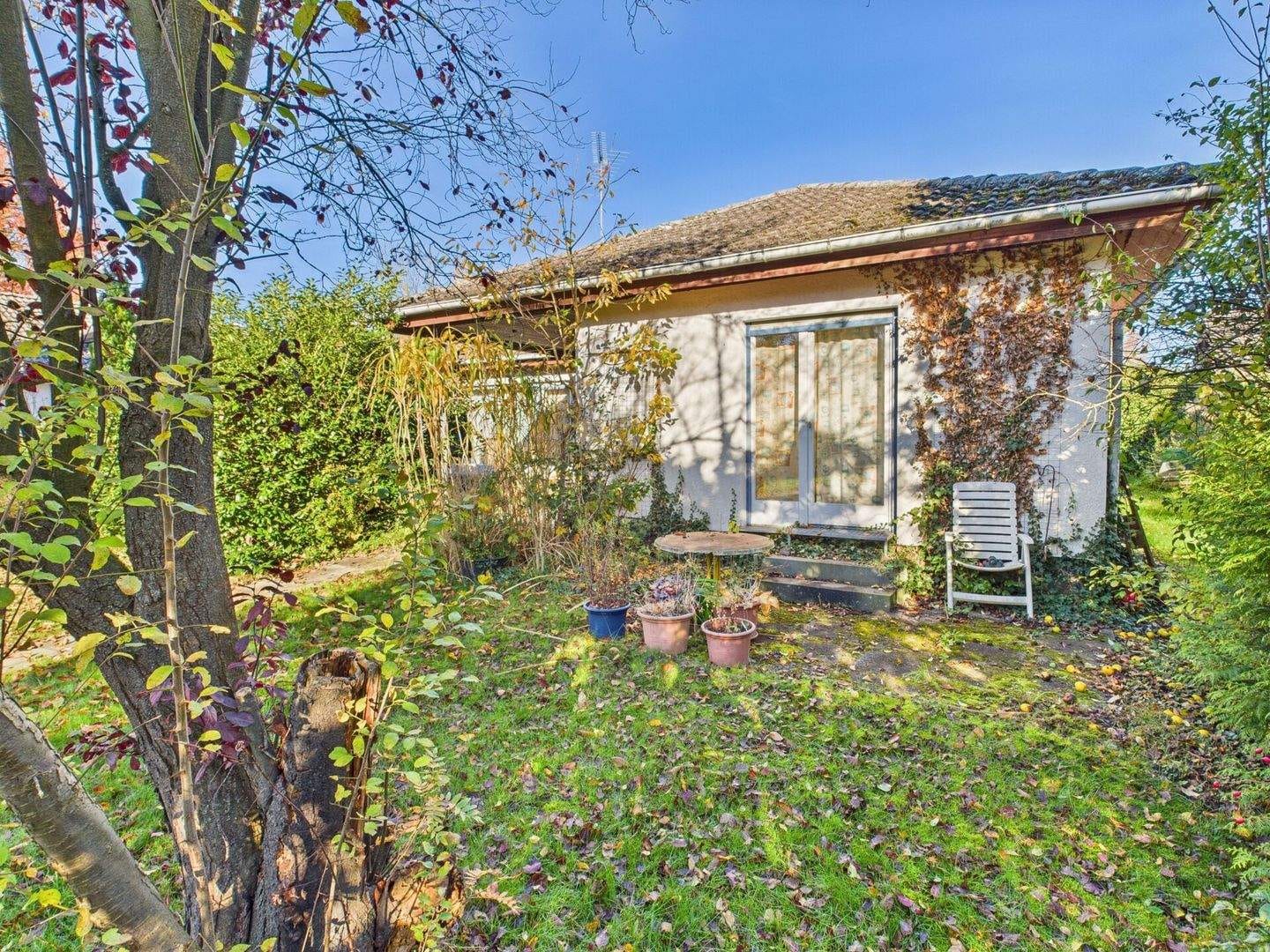 Immobilie in Schwarmstedt - OHNE KÄUFERPROVISION: Bungalow in Bothmer mit zwei Wohnbereichen - Bild 0