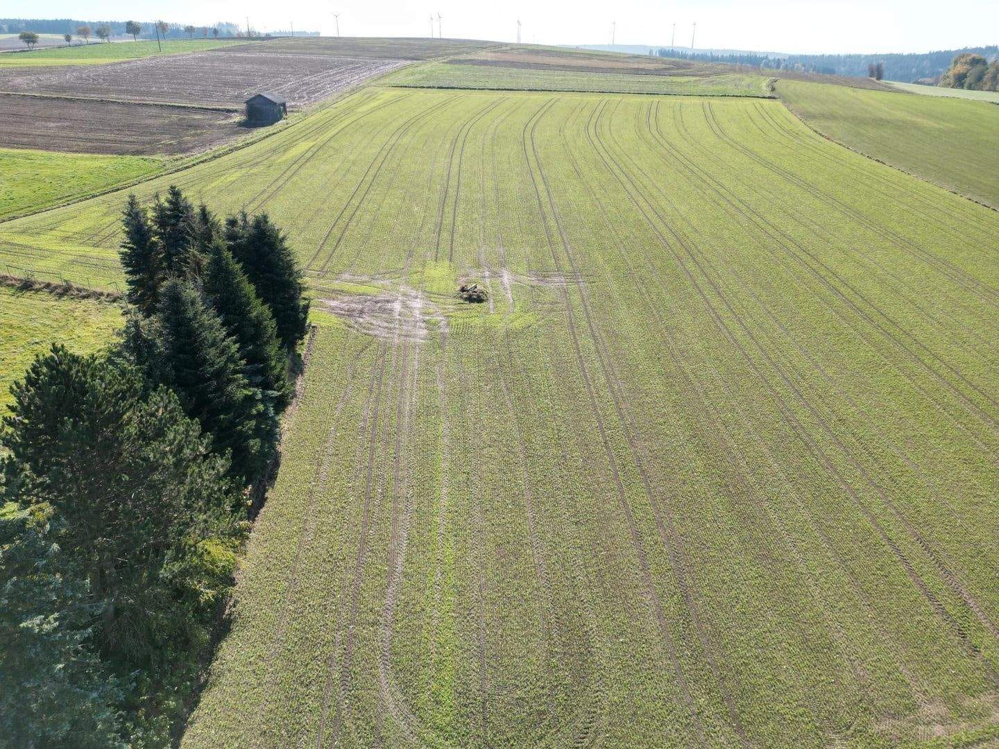 Immobilie in Schauenstein - bestens etablierte Gastwirtschaft mit viel Land - Bild 4