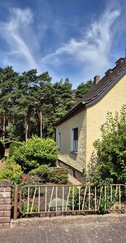 Immobilie in Muldestausee - Attraktives Einfamilienhaus in idyllischer Lage – Perfekt für Familien! - Bild 3