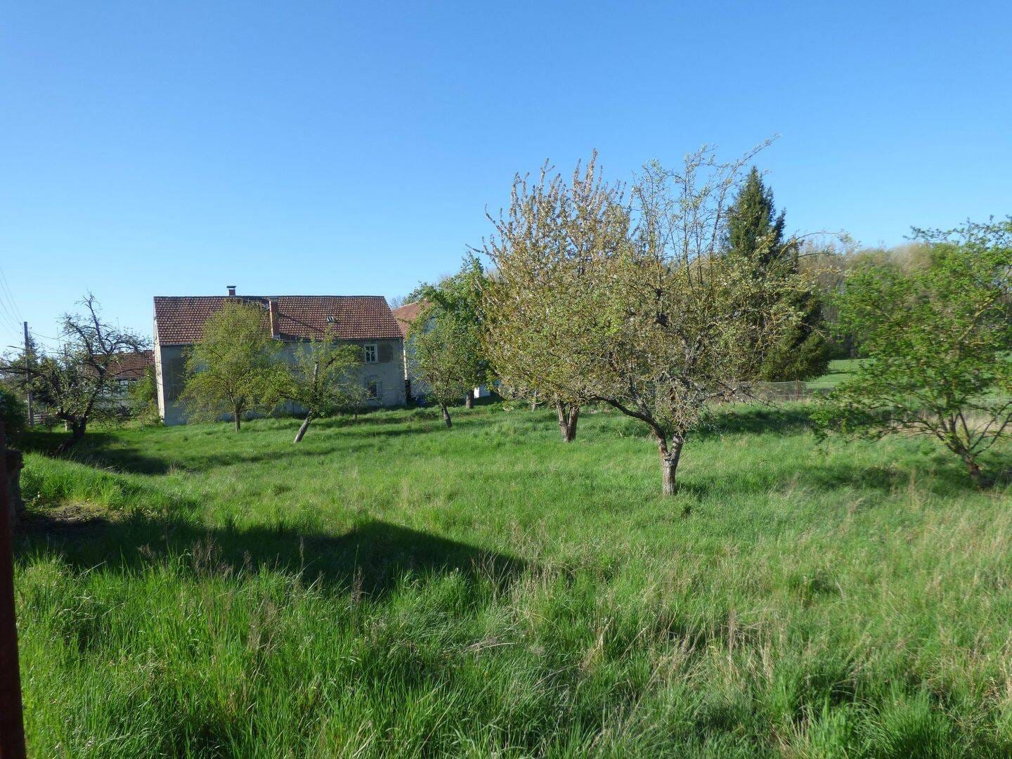 Immobilie in Stauchitz - kleiner Hof bei Riesa - Bild 2