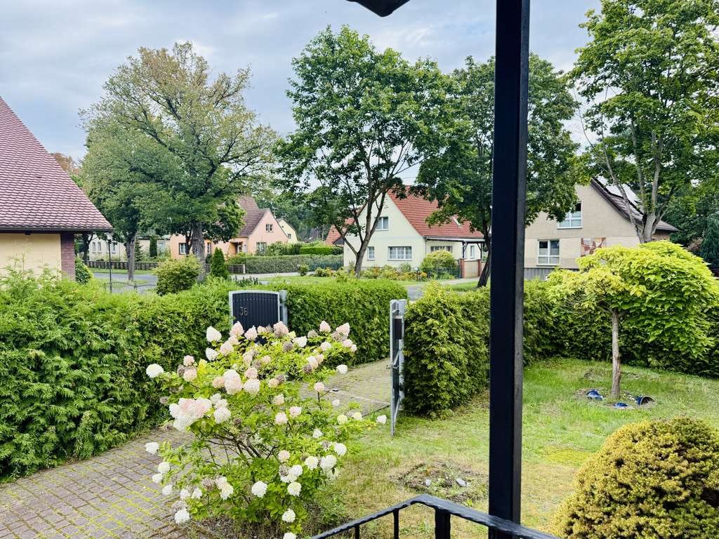 Immobilie in Wusterwitz - Vielfältiges Einfamilienhaus mit barrierefreier Wohnung und Gewerbeeinheit (Variante) - Bild 3