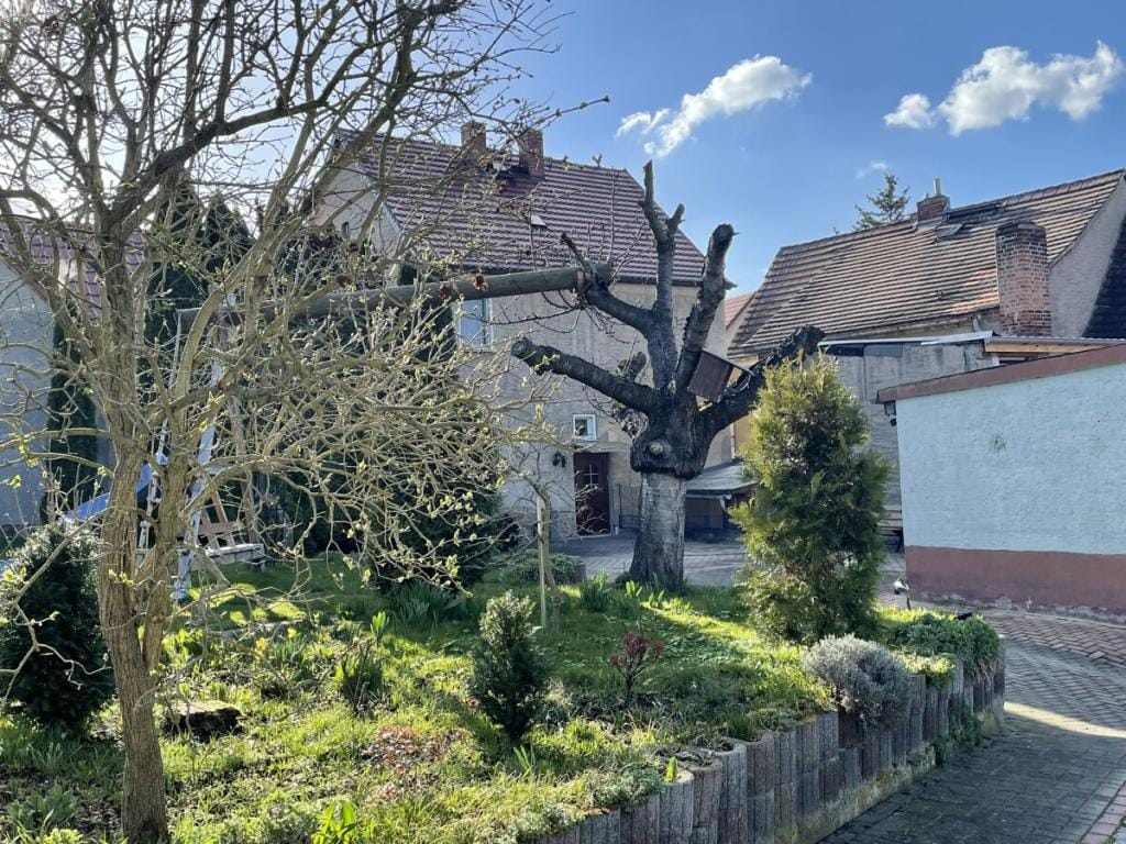 Immobilie in Osterfeld - Einfamilienhaus freistehend in Osterfeld - Bild 1