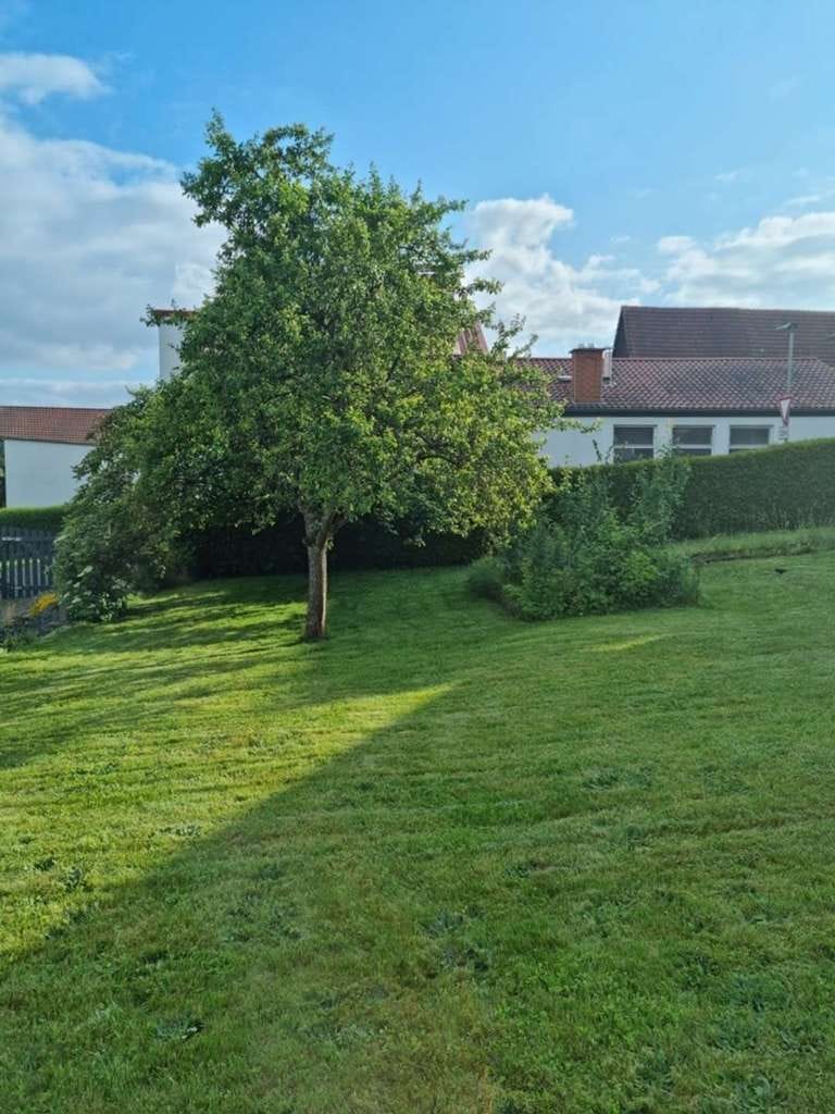 Immobilie in Herbstein - Denkmalgeschützes Fachwerkhaus in zentraler Lage von Herbstein! - Bild 4