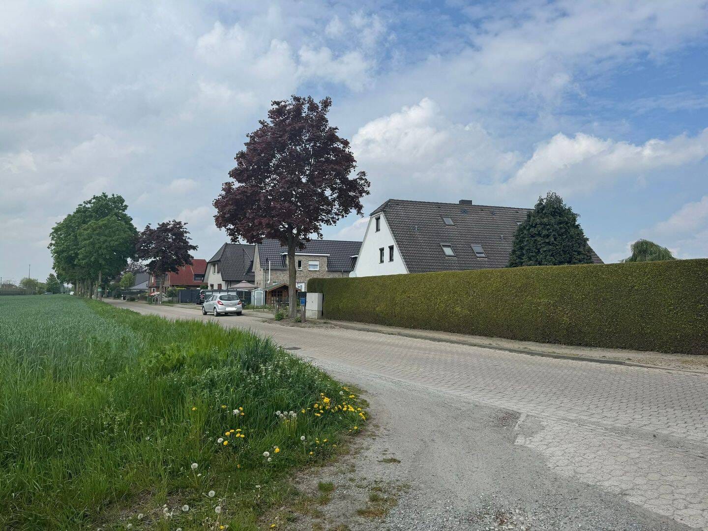 Immobilie in Langwedel - Eigentumswohnung mit Ausbaumöglichkeit - Bild 4