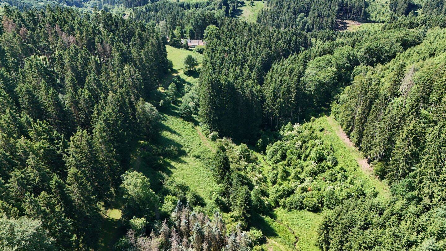 Immobilie in Seffern - Seltenes Juwel, in einmaliger Alleinlage mitten im Wald, autarkes Einfamilienhaus mit Nebengebäuden und ein gemütliches Holzhaus auf großem Grundstück - Bild 4