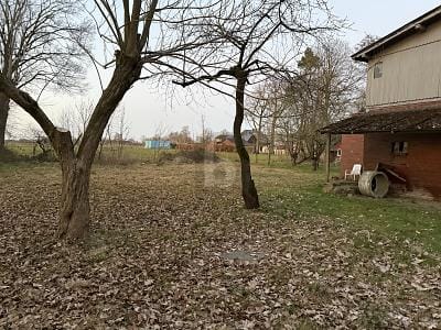 Immobilie in Oldendorf - BAUVORHABEN AUF 3.910 M² MIT ALTEM RESTHOF - Bild 1