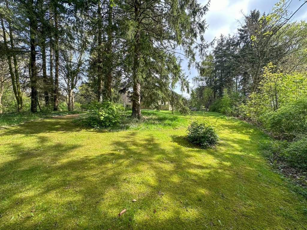 Immobilie in Humptrup - Vielseitiges Gebäudeensemble mit Geschichte - Schule, Kindergarten & Wohnhaus auf großem Grundstück - Bild 3