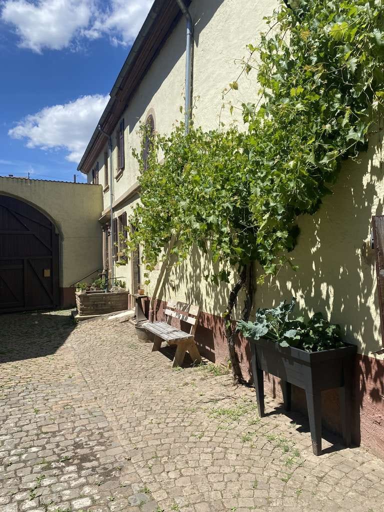 Immobilie in Rehborn - Charmantes kernsaniertes Bauernhaus mit Scheunen und Garten - Bild 2