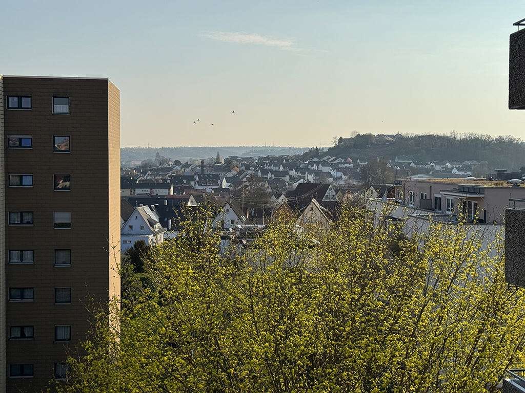 Immobilie in Walheim - freie Sicht über Walheim - Bild 3